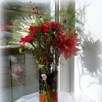 Дачные цветы. :: nadyasilyuk Вознюк