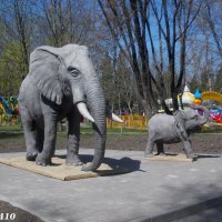 В ростовском зоопарке :: Нина Бутко