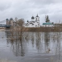 **** :: Елизавета .