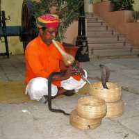 Заклинатель змей, Джайпур, Индия. :: unix (Илья Утропов)