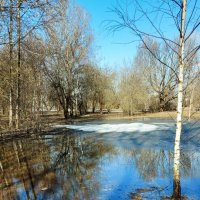 Последний снег. :: Владимир Безбородов