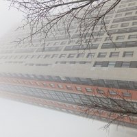 Туман  в Подмосковье :: Julietta_navsegda /