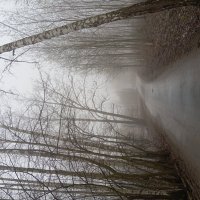 Туман в Подмосковье :: Julietta_navsegda /