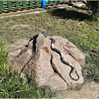 Скульптура Змейка. :: Валерия Комова