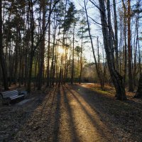 Вечер в парке :: Андрей Лукьянов