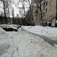 Зима в Москве. :: Владимир Драгунский