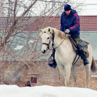 Всадник. :: сергей 