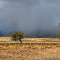 Алтайская непогода :: Марина Фомина.