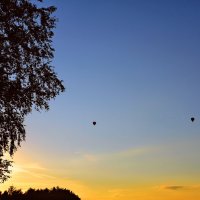 Полёт на воздушных шарах... :: Александр Попович