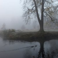 Туман :: Алексей Смирнов