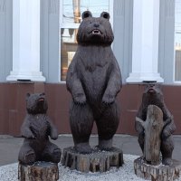 Медведи :: Владимир Виноградов