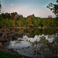 В заповедных и дремучих... :: Сергей 