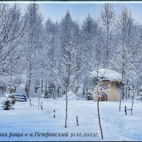 Березовая роща в п.Петровский (Ивановская область) :: Геннадий Тарасов