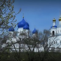 С Вербным Воскресением! :: Владимир Шошин