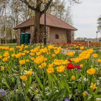 Пакруойская усадьба и фестиваль цветов. Пакруойис, Литва :: Геннадий Порохов