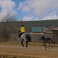Полет на лошади :: Сергей Шаврин