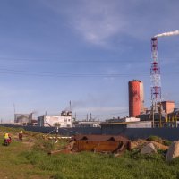 Вдоль забора Хим.комбината :: Сергей Цветков