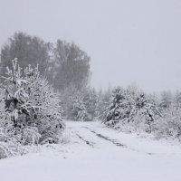 Майский снегопад :: Галина Ильясова