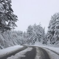 А за окошком месяц май... :: Галина Ильясова