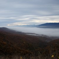 Туман. Дагестан. :: Мария Ларионова