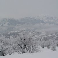 ЗИМНЯЯ ПРОГУЛКА. :: Виктор Осипчук