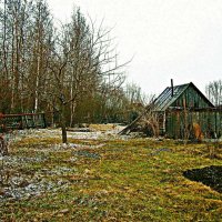 Май...Банька на огороде! :: Владимир 