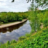 МАЙ В ПОДМОСКОВЬЕ :: АЛЕКСАНДР 