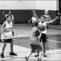 Баскетбол семилетних. :: vedin 