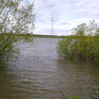 Вечерняя рыбалка на Иртыше. :: сергей 