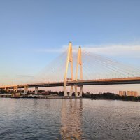 Мосты повисли над водами. :: Ольга 