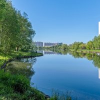 На берегу городского пруда :: Валерий Иванович