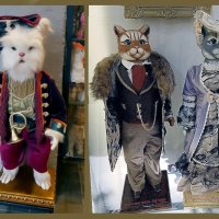 В музее кошек «Мурариум»  в Зеленоградске. :: Ольга Довженко