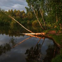 Озеро. :: Владимир Безбородов