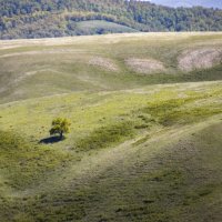 На весенних склонах Южного Урала :: Галина Ильясова