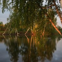 Озеро. :: Владимир Безбородов