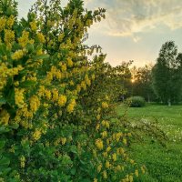 Солнце садится... :: Мария Васильева