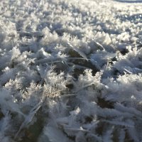 На снежном покрывале января... :: Ирина Жигунова