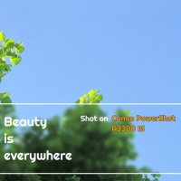beauty is everywhere :: Strannik M