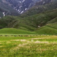 Джайляу - это пастбище в благодатной местности :: LudMila 