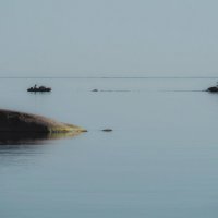 Рыбаки на Финском заливе (п. Репино) :: Магомед .