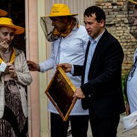Проба меда с пасеки Самаркандского университета :: Светлана SvetNika17