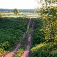 *** :: Владимир Безбородов