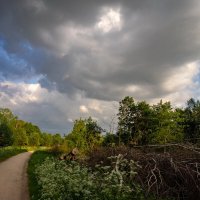 За тучкой вдогонку :: Николай Гирш