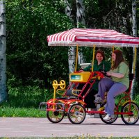 Веселые подружки. :: Виктор Иванович Чернюк