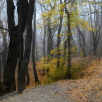 Осень кавказская...... :: Юрий Цыплятников