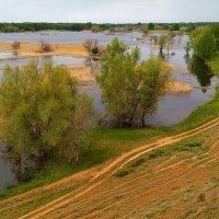 Половодье :: Пасечник 