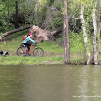 Красная шапочка везёт бабушке пирожки. :: Николай Николаевич 