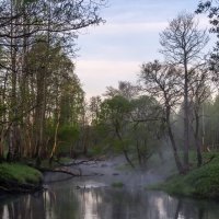Утро на реке Десне :: Сергей Цветков