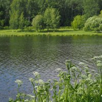 У Тихой Воды :: юрий поляков