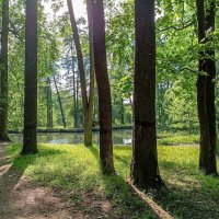В парке на Лесной :: Любовь Зинченко 